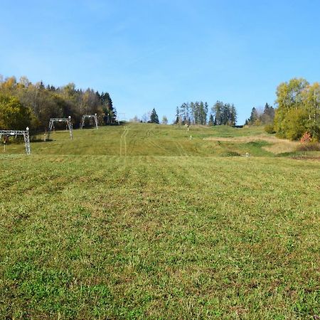 Apartman Dolni Morava Bagian luar foto