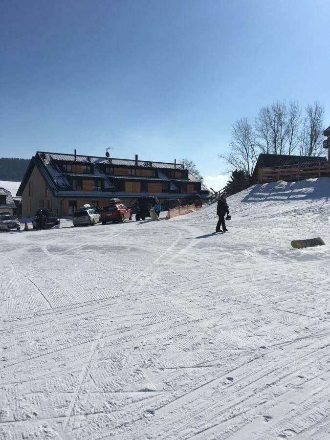 Apartman Dolni Morava Bagian luar foto